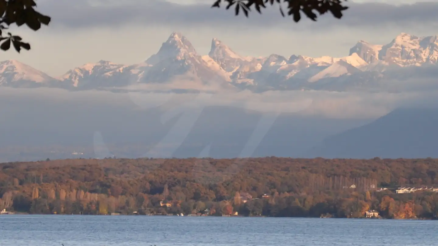 Villa kaufen - 1218 Le Grand-Saconnex