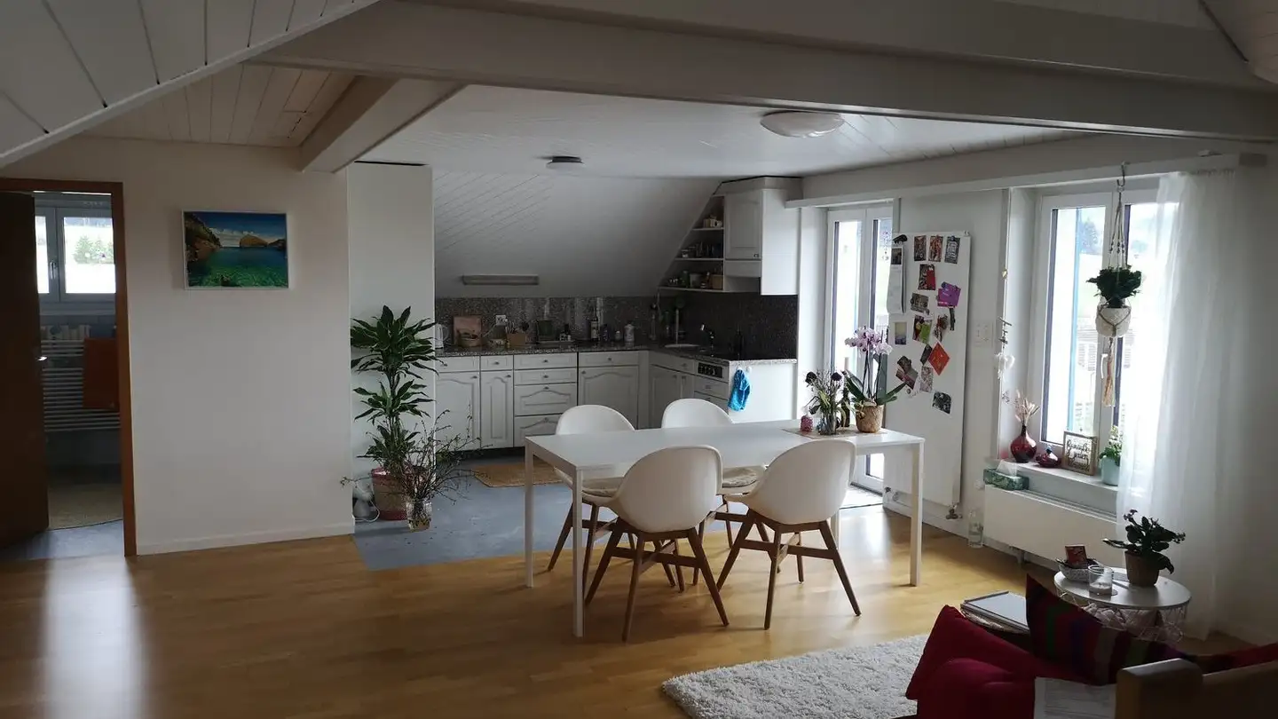 Attique à louer - Rosenburgstrasse 1, 8360 Wallenwil