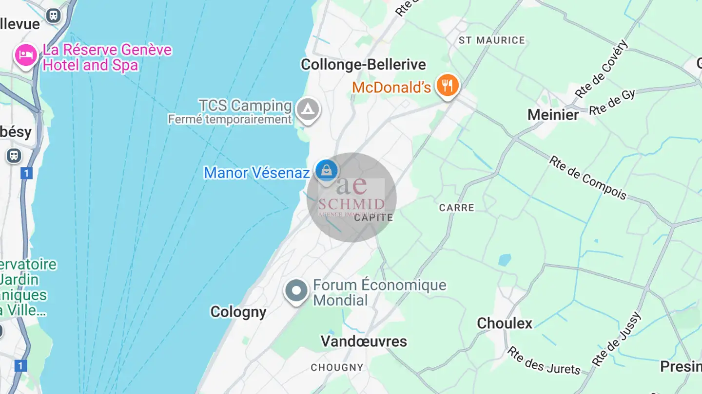 Einfamilienhaus kaufen - Chemin Des Rayes, 1222 Vésenaz - Foto 2