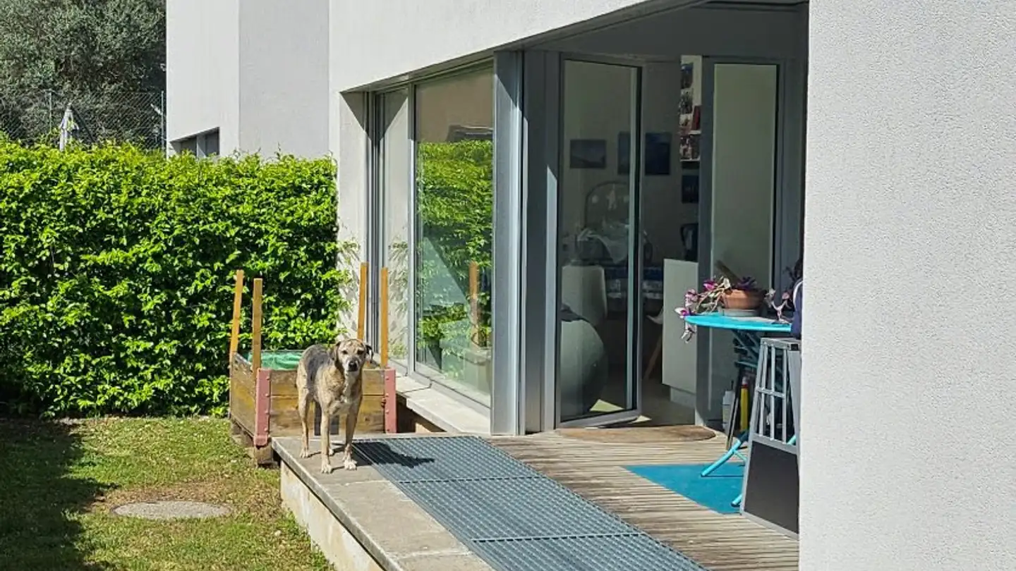 Single house for sale - 6826 Riva San Vitale - Photo 3