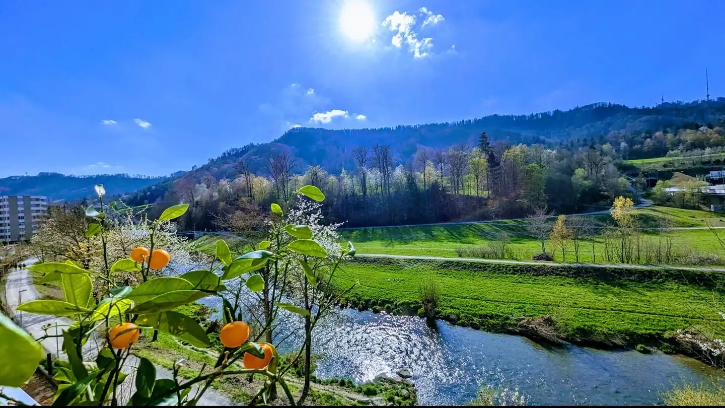 Wohnung mieten - 8041 Zürich - Foto 2