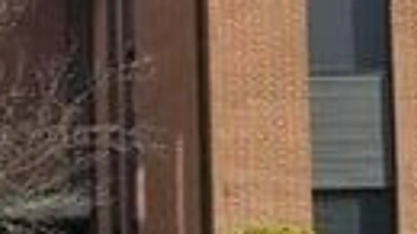 Dachgeschosswohnung kaufen - Via Pradasc, 6514 Sementina