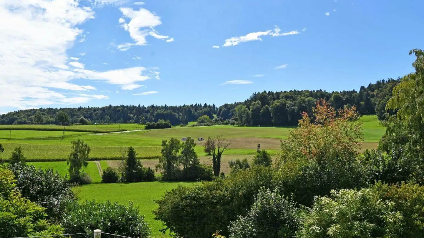 Einfamilienhaus kaufen - Im Chrüzacher 6, 8174 Stadel b. Niederglatt - Foto 2
