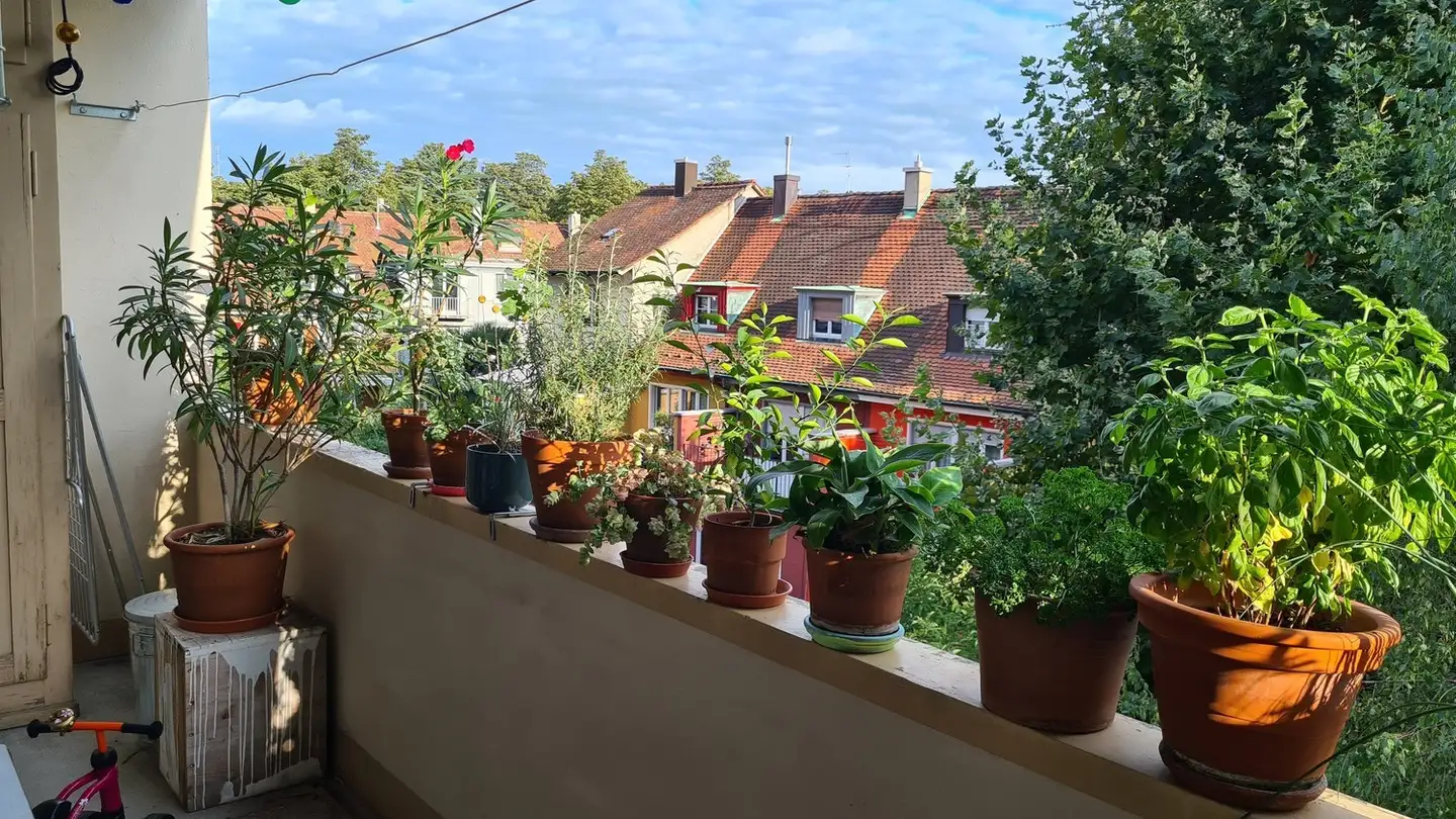 Appartement à louer - Obwaldnerstrasse 11, 4055 Basel - Photo 2