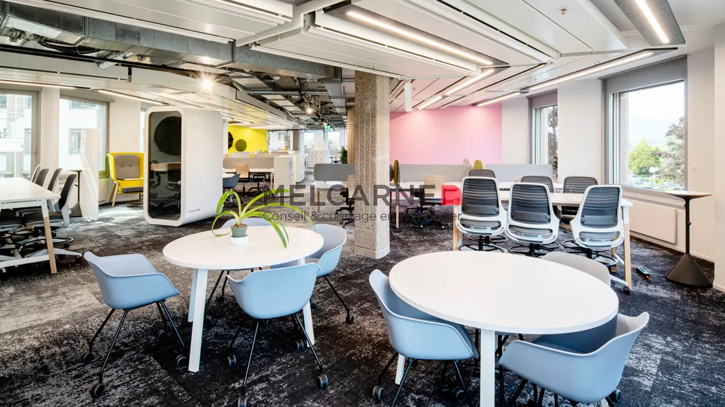 Bürofläche mieten - Chemin Du Pavillon, 1218 Le Grand-Saconnex - Foto 2
