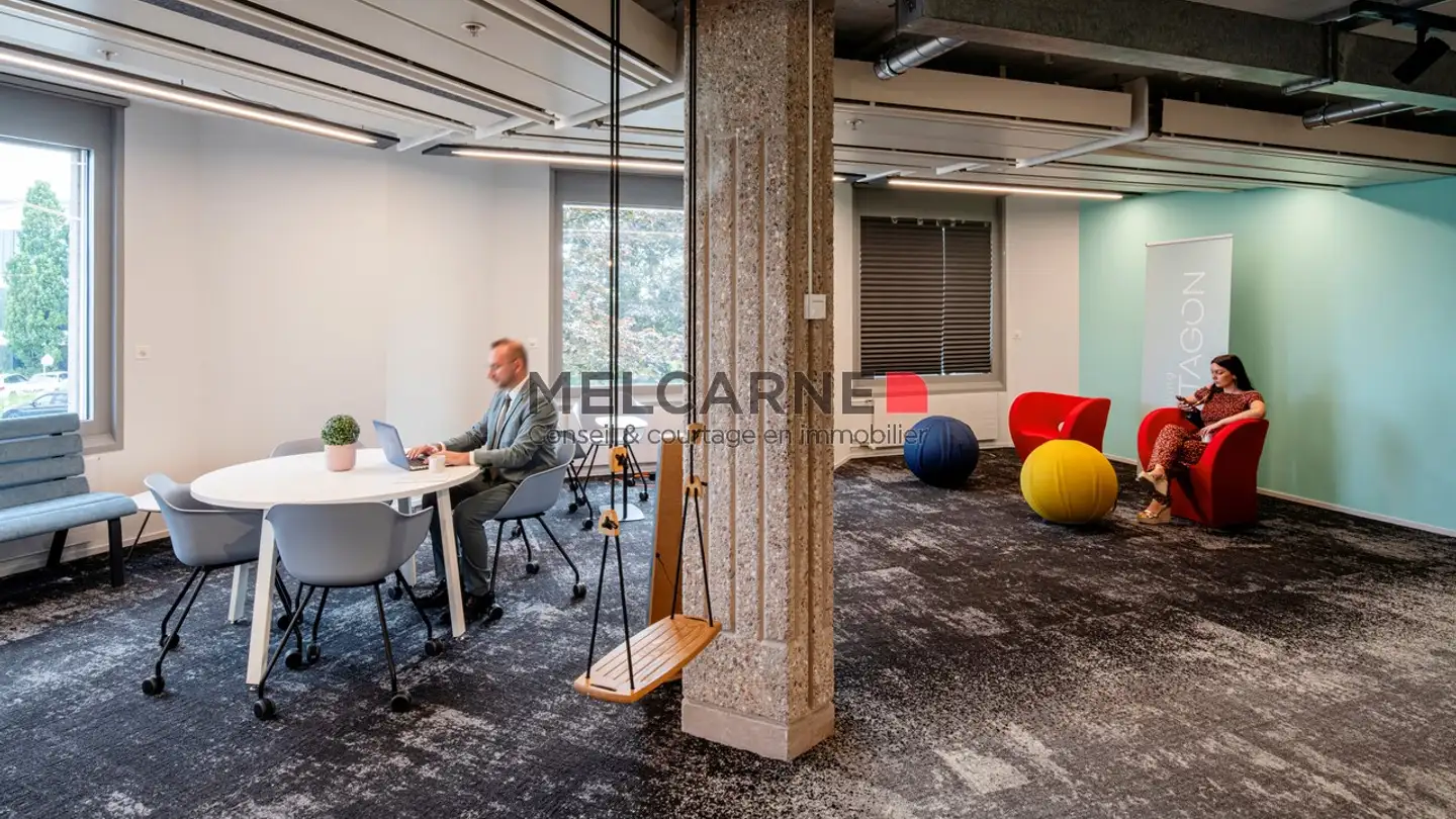 Bürofläche mieten - Chemin Du Pavillon, 1218 Le Grand-Saconnex - Foto 3