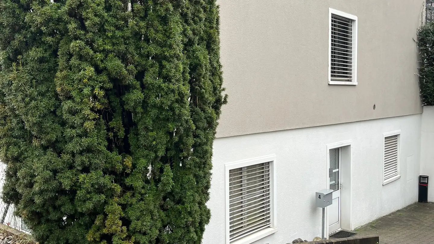 Spazio ufficio in vendita - Via Ai Pree 4, 6915 Pambio-Noranco - Photo 4