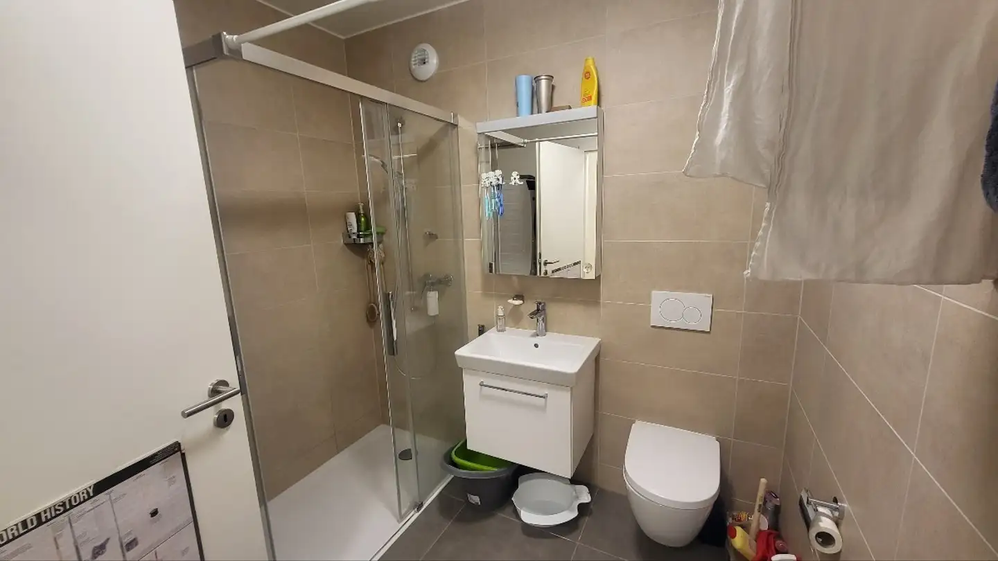 Appartamento in affitto - Rue Senedu Gebru, 1022 Chavannes-près-Renens - Foto 4