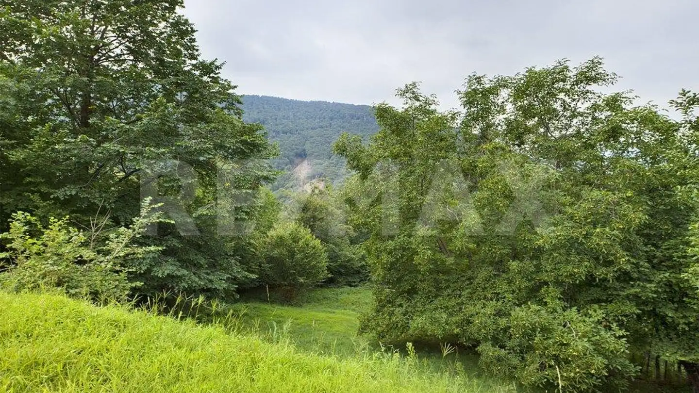 Constructible plot for sale - 6951 Bogno - Photo 4
