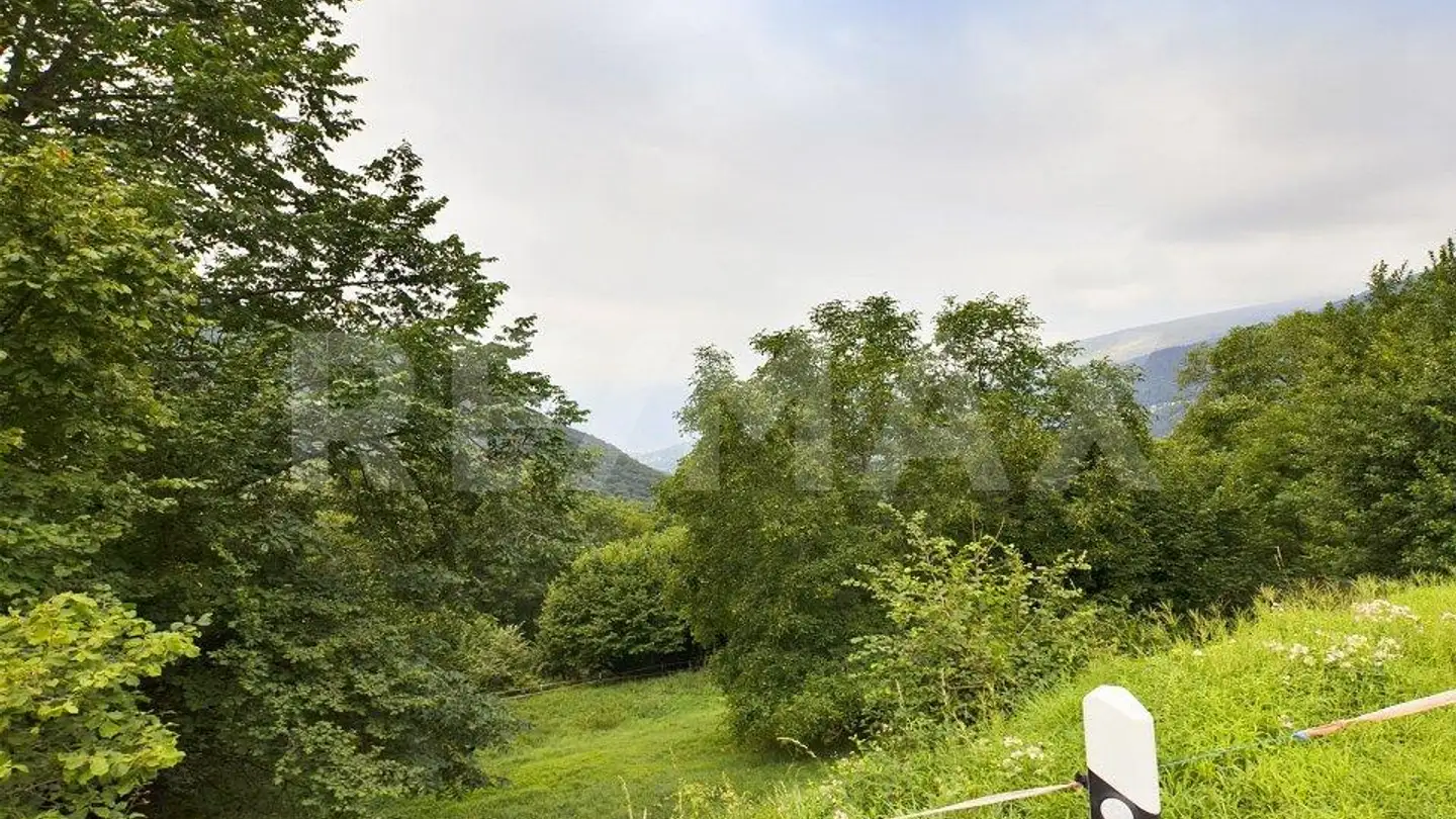 Constructible plot for sale - 6951 Bogno - Photo 3