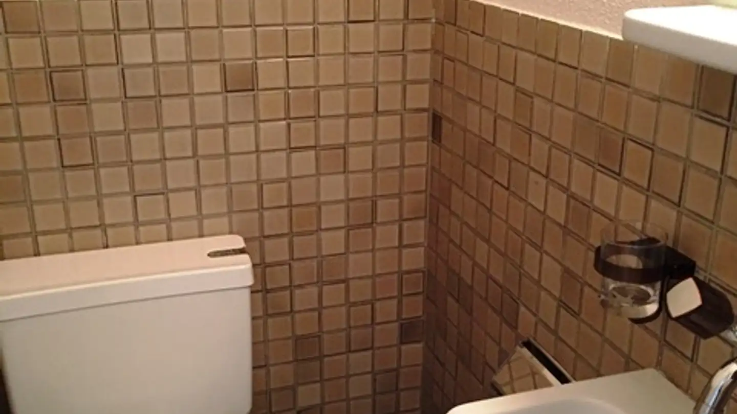 Apartment for rent - Grauholzstrasse 72, 3063 Ittigen - Photo 4