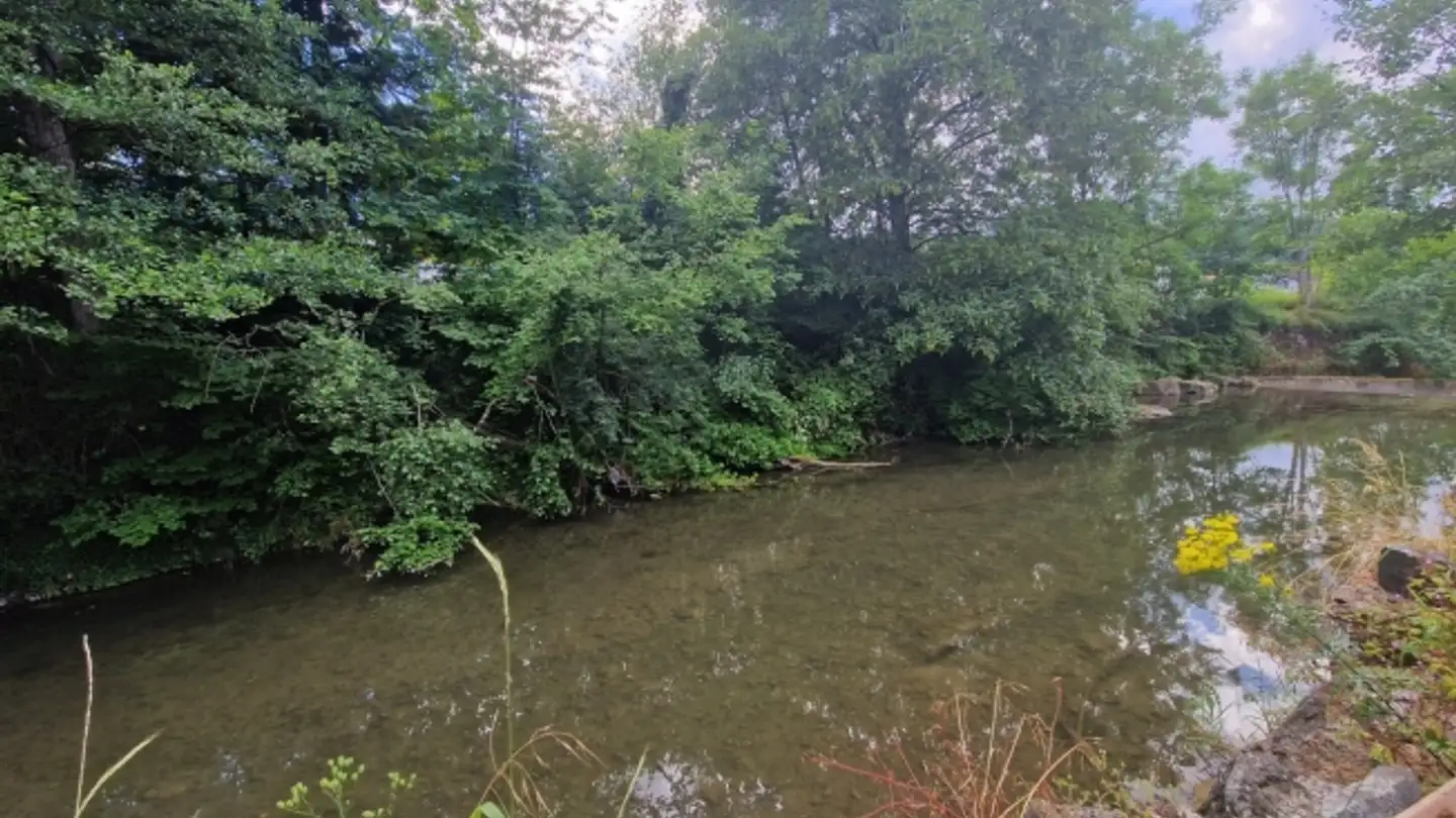 Maison individuelle à vendre - 2830 Courrendlin - Photo 2