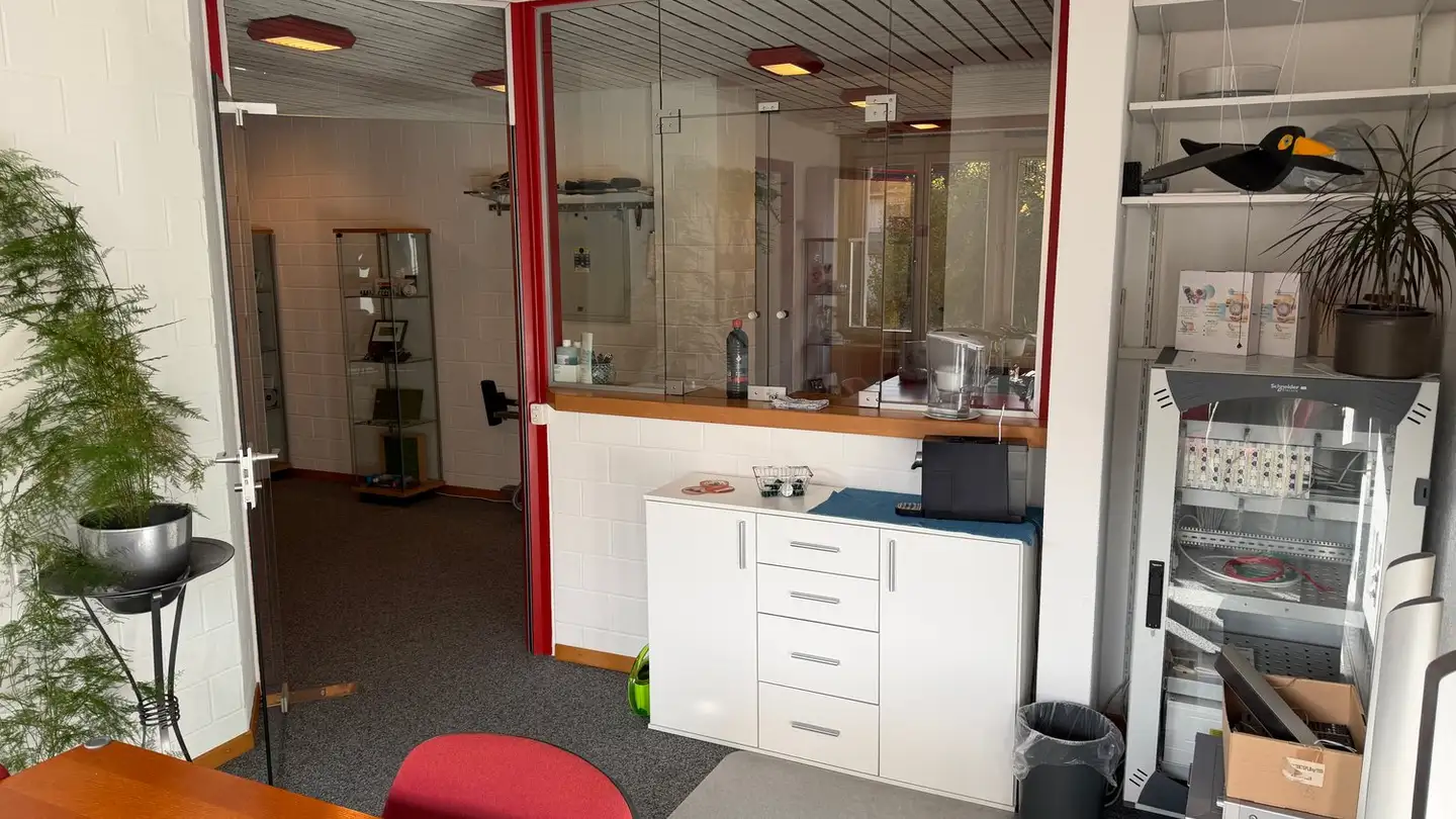Commercial for rent - Sonnenburggutstrasse 9, 8200 Schaffhausen