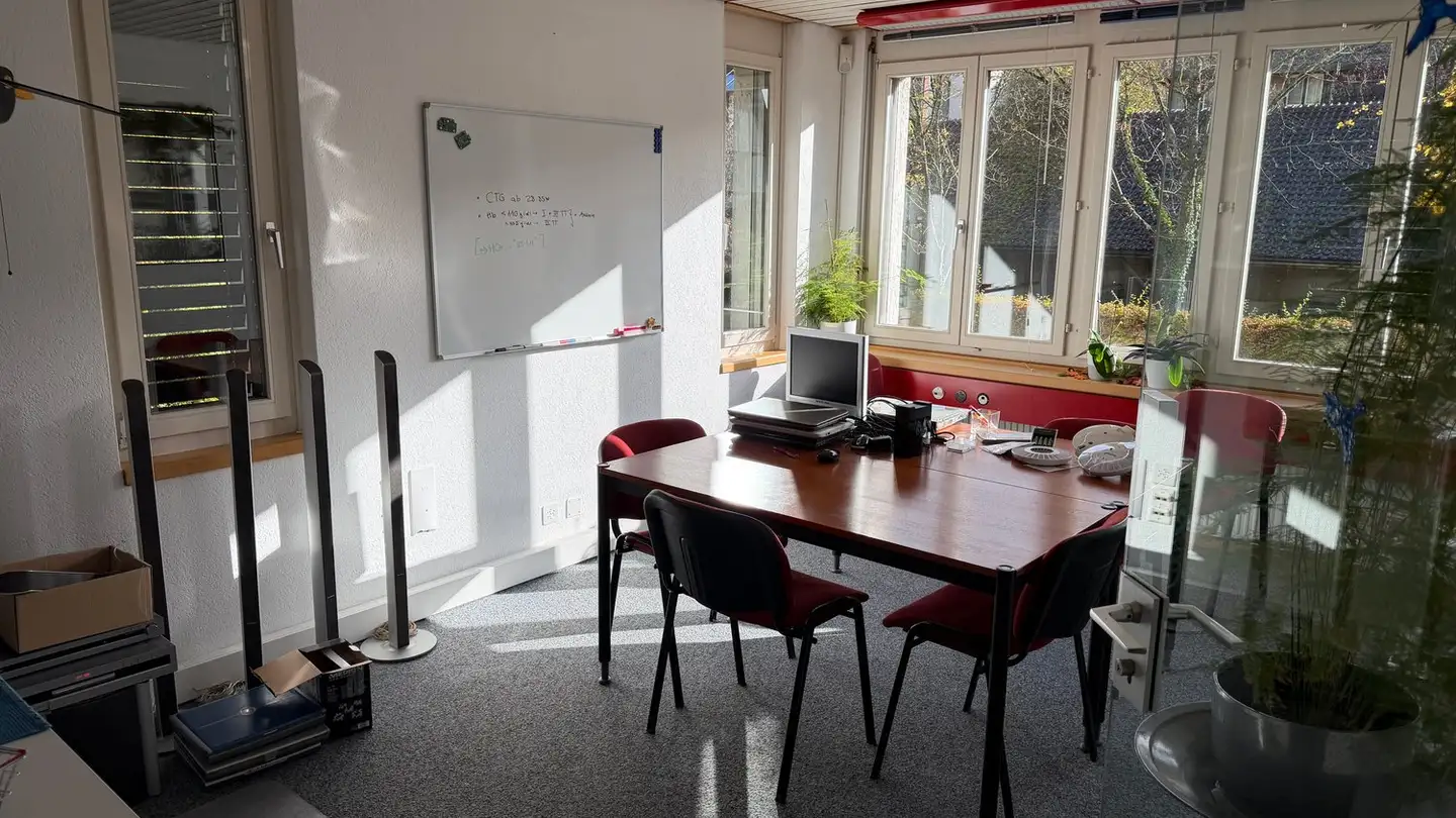 Commercial for rent - Sonnenburggutstrasse 9, 8200 Schaffhausen - Photo 2