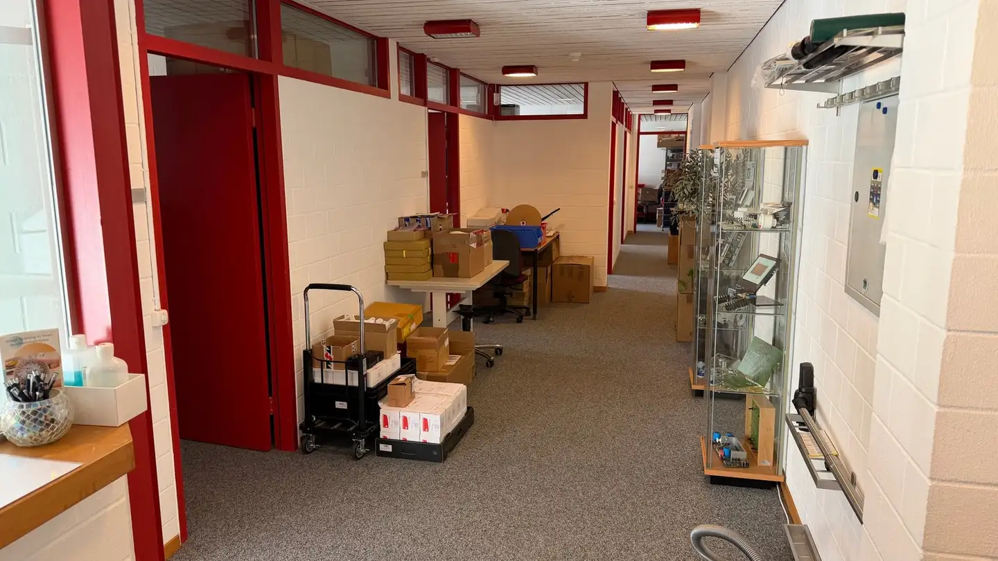 Commercial for rent - Sonnenburggutstrasse 9, 8200 Schaffhausen - Photo 3