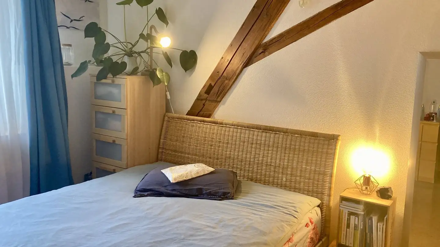 Appartement à louer - 8706 Meilen - Photo 3