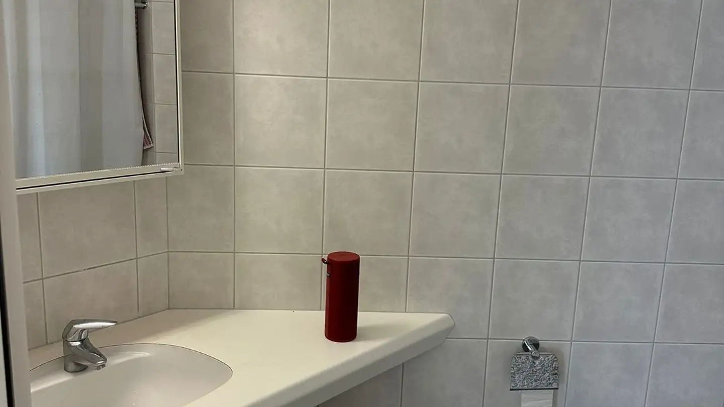 Stanza singola in affitto - Schaffhauserstrasse 457, 8052 Zürich - Foto 3