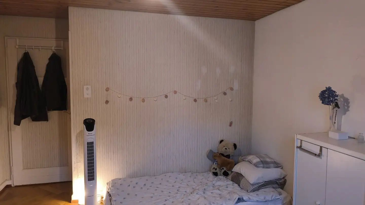 Chambre à louer - 1018 Lausanne - Photo 3