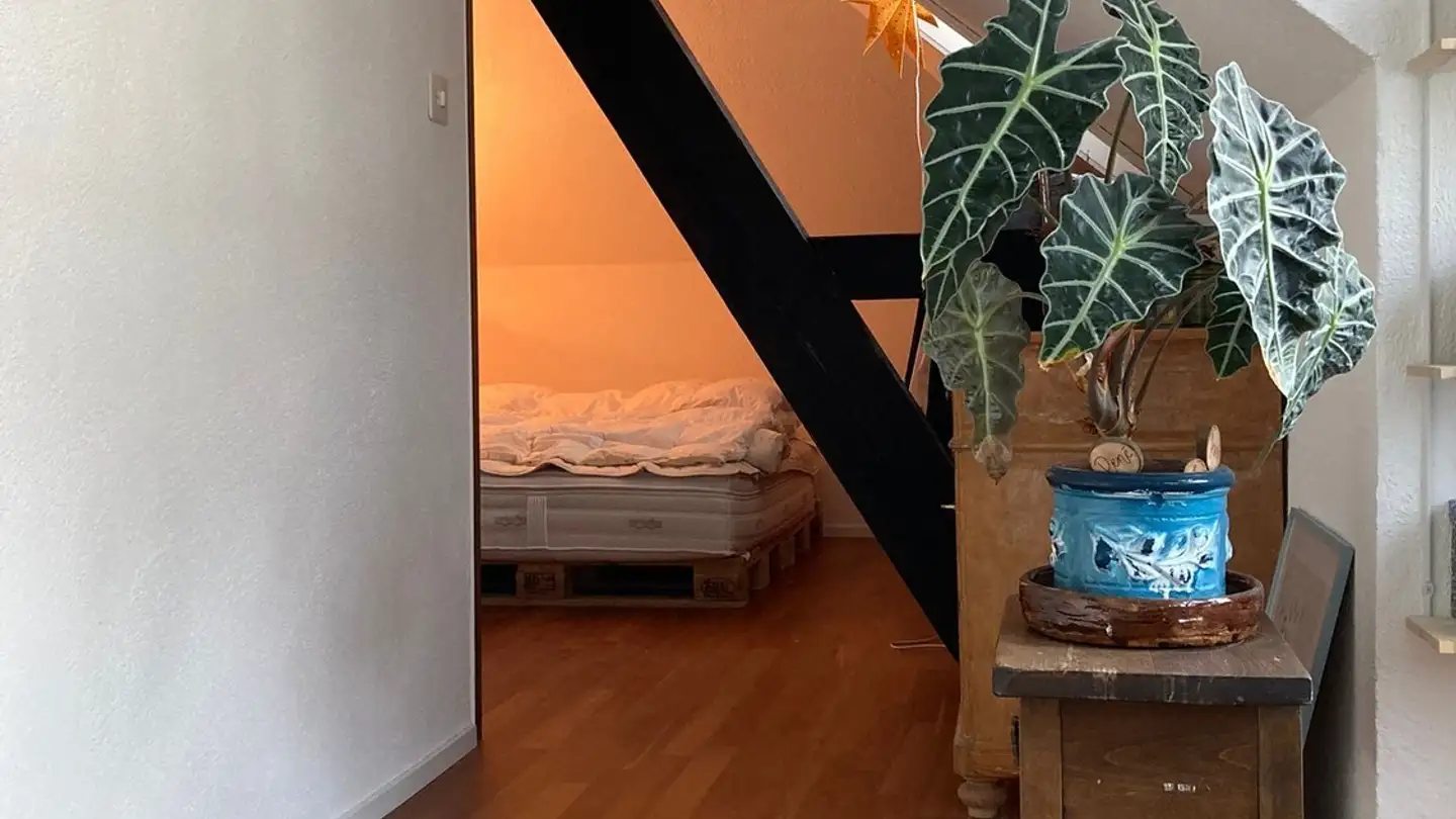 Chambre à louer - Felsenstrasse 22, 9000 St. Gallen