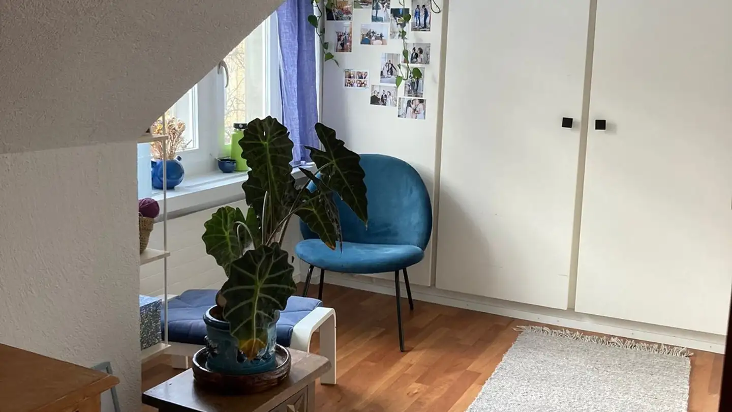 Stanza singola in affitto - Felsenstrasse 22, 9000 St. Gallen - Photo 3