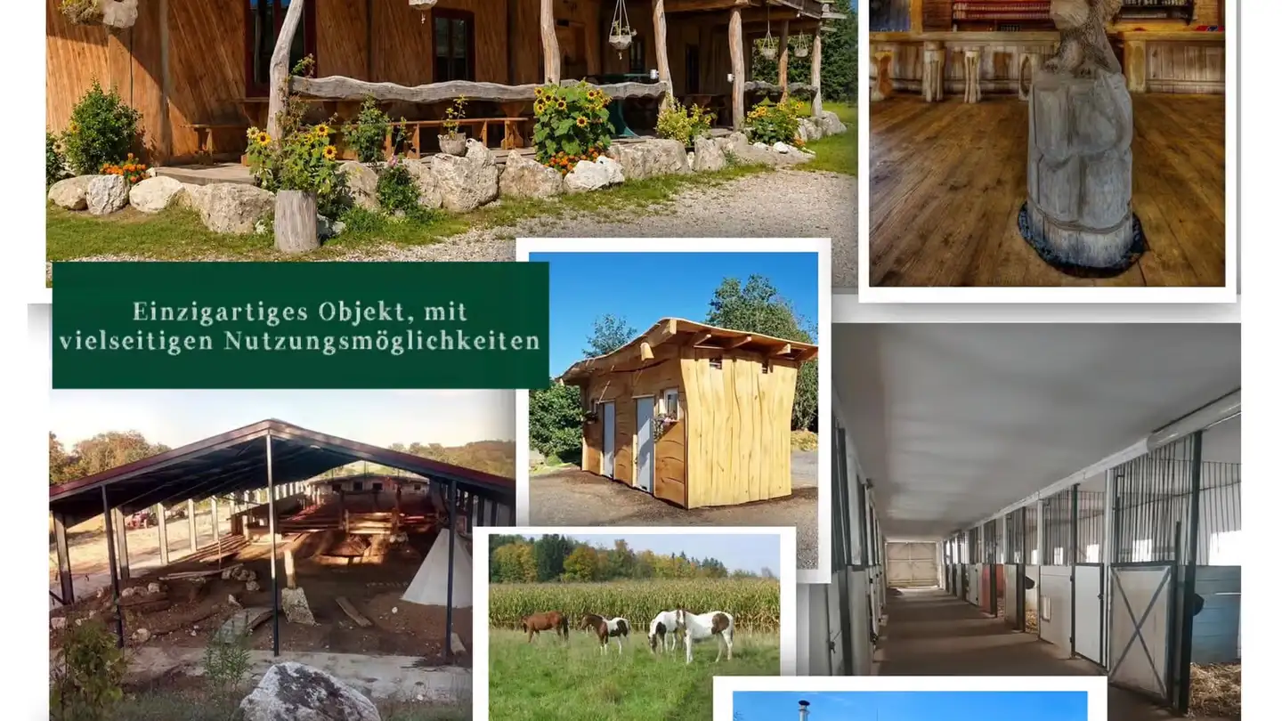 Gewerbe kaufen - Sur La Côte 21, 2933 Damphreux