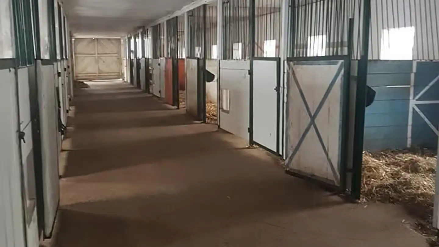 Gewerbe kaufen - Sur La Côte 21, 2933 Damphreux - Foto 3