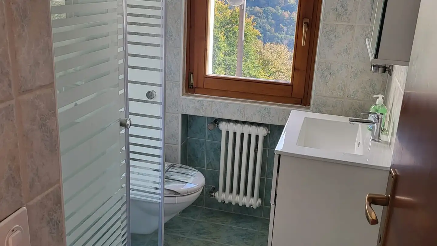 Apartment for rent - 6956 Lopagno - Photo 3