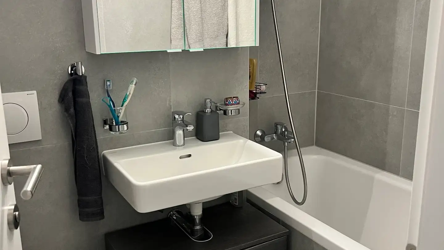 Appartamento in affitto - Chemin De La Planchette, 1860 Aigle - Photo 2