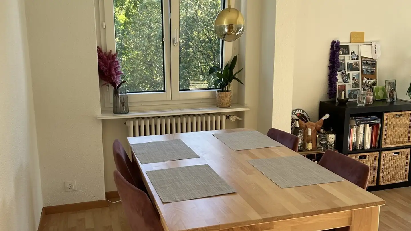 Appartamento in affitto - Forchstrasse 315, 8008 Zürich - Foto 3