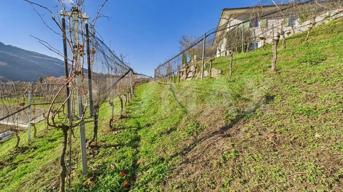 Bauland kaufen - 6998 Monteggio - Foto 4