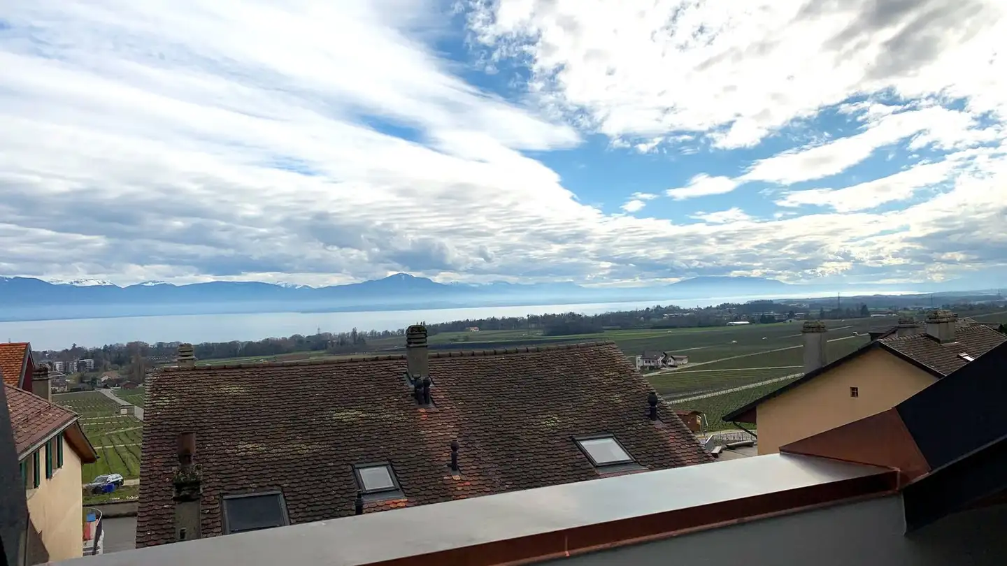 Attique à vendre - 1180 Tartegnin
