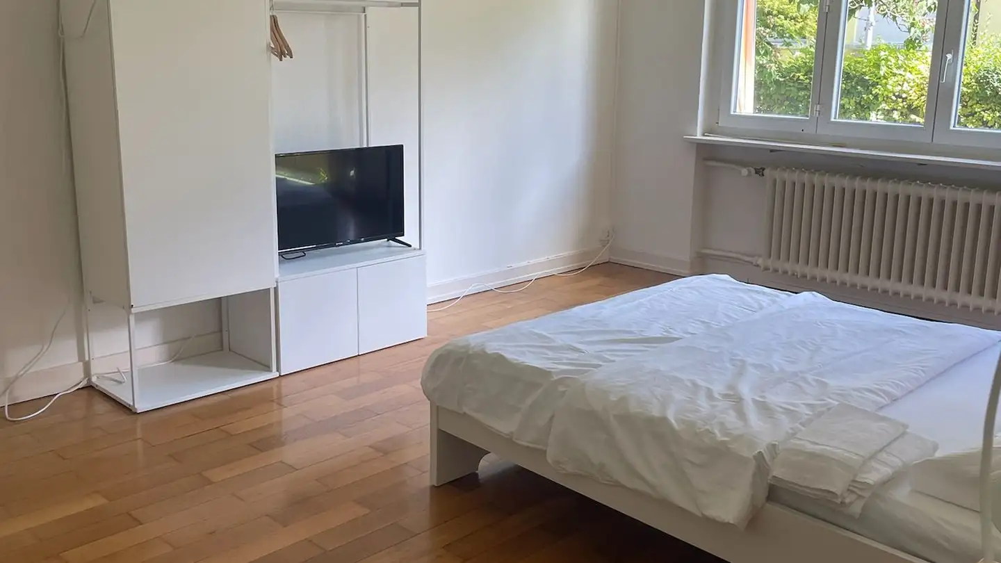 Furnished apartment for rent - Hanfrose 8, 8055 Zürich - Photo 3