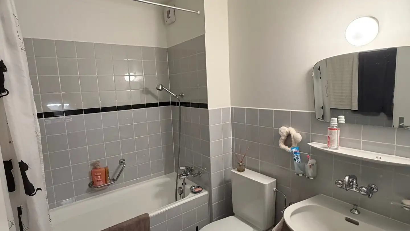 Appartement à louer - Chemin De Lizet 8, 1026 Echandens - Photo 3