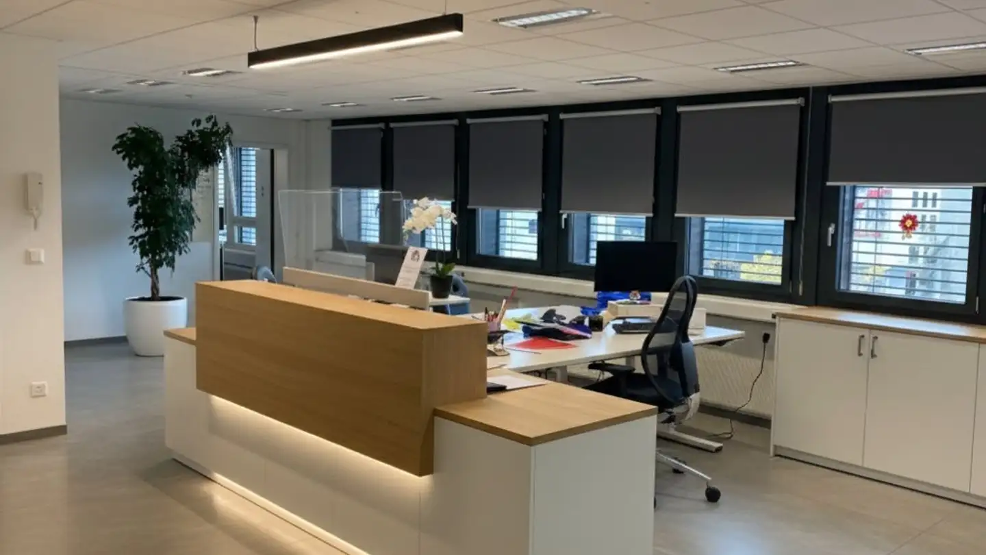 Commerciale in affitto - Rue De Romont / Romontgasse 35, 1700 Fribourg