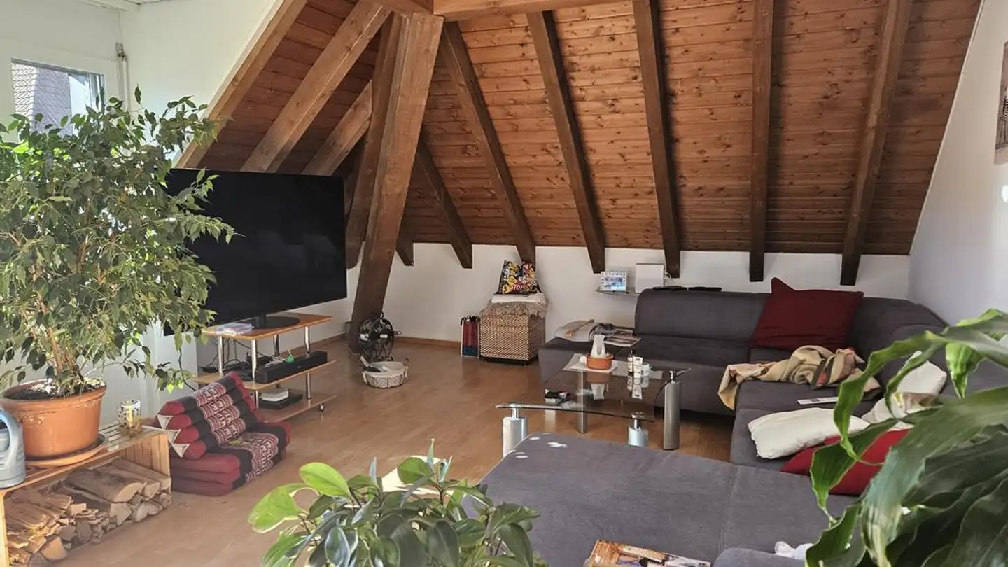 Apartment for rent - Friedeggstrasse 5, 9000 St. Gallen - Photo 2