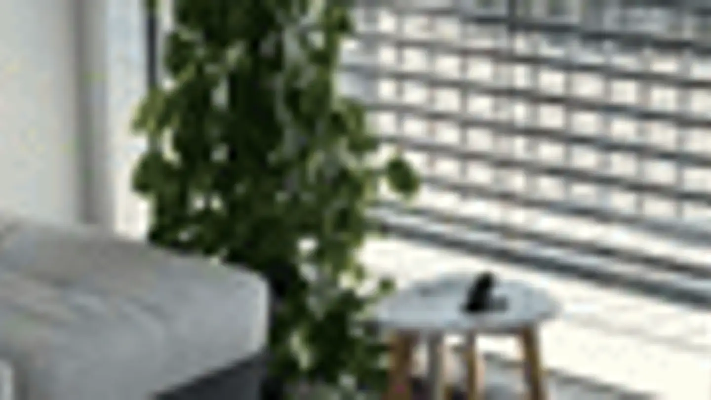 Studio for rent - Rue Jaquet-Droz 10, 2000 Neuchâtel - Photo 2