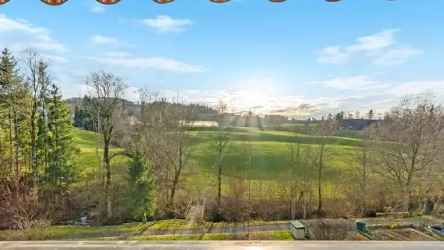 Appartement à louer - Am Aabach 14, 8344 Bäretswil - Photo 2