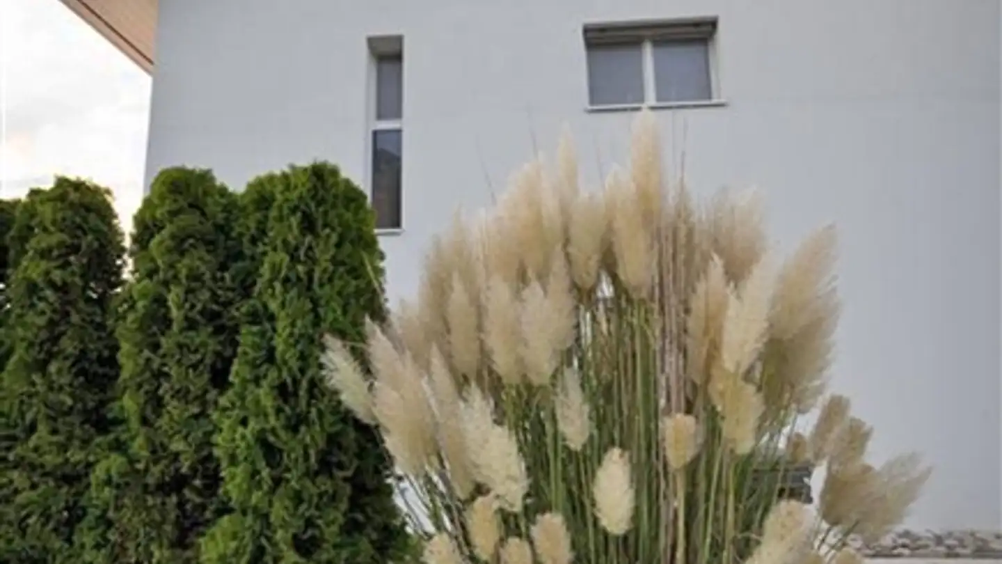 Casa singola in affitto - Chemin Des Hutins 1, 1295 Mies - Photo 3