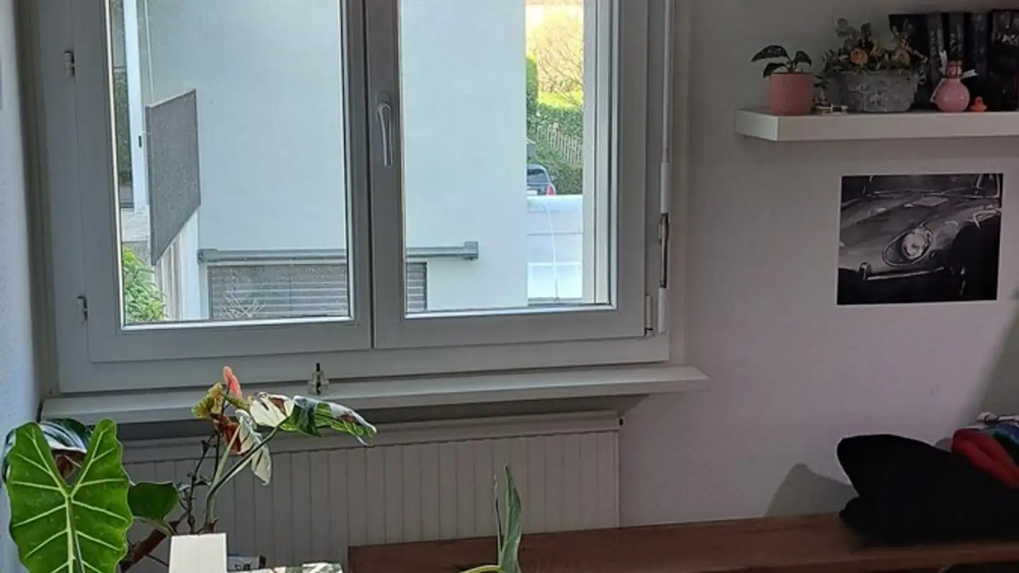 Stanza singola in affitto - 6005 Luzern - Foto 3