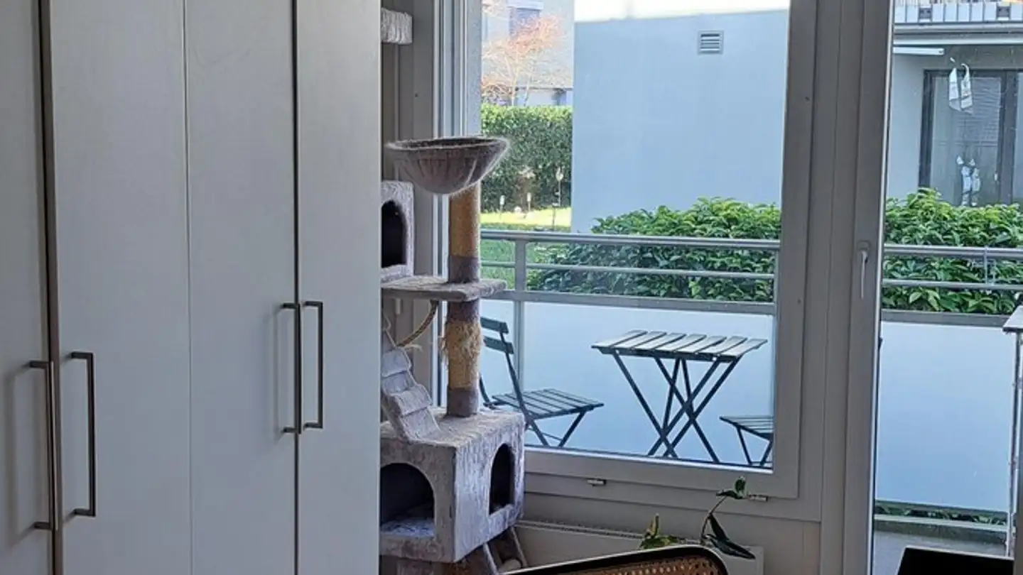 Stanza singola in affitto - 6005 Luzern - Foto 4