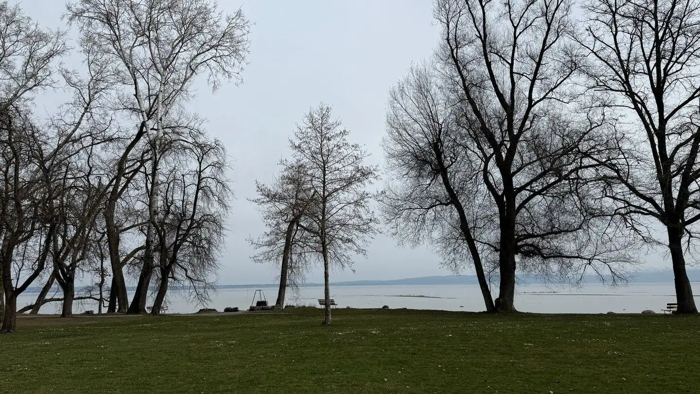 Attico in affitto - Seewiesen 3, 8599 Salmsach - Photo 3