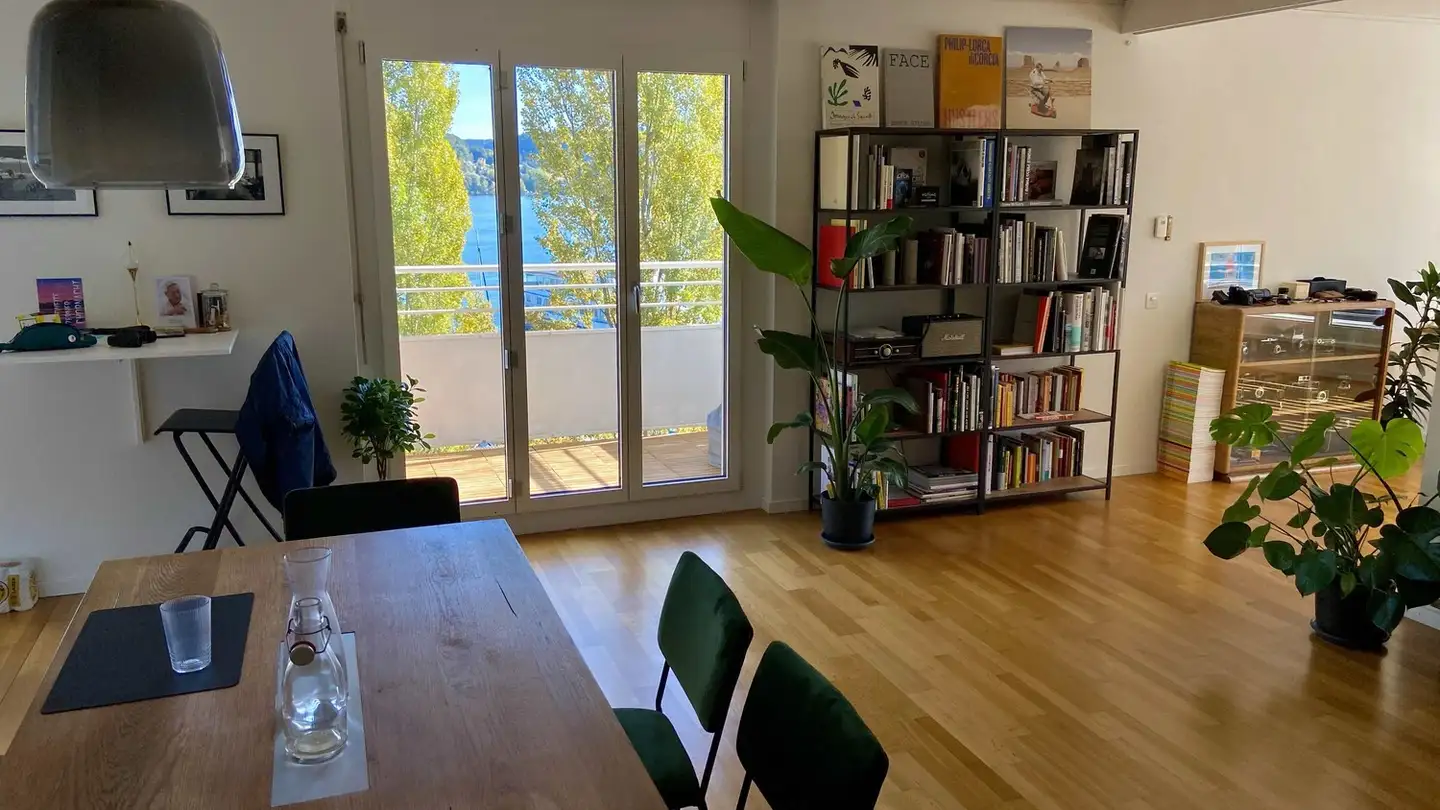 Appartement à louer - Inseliquai 10, 6005 Luzern