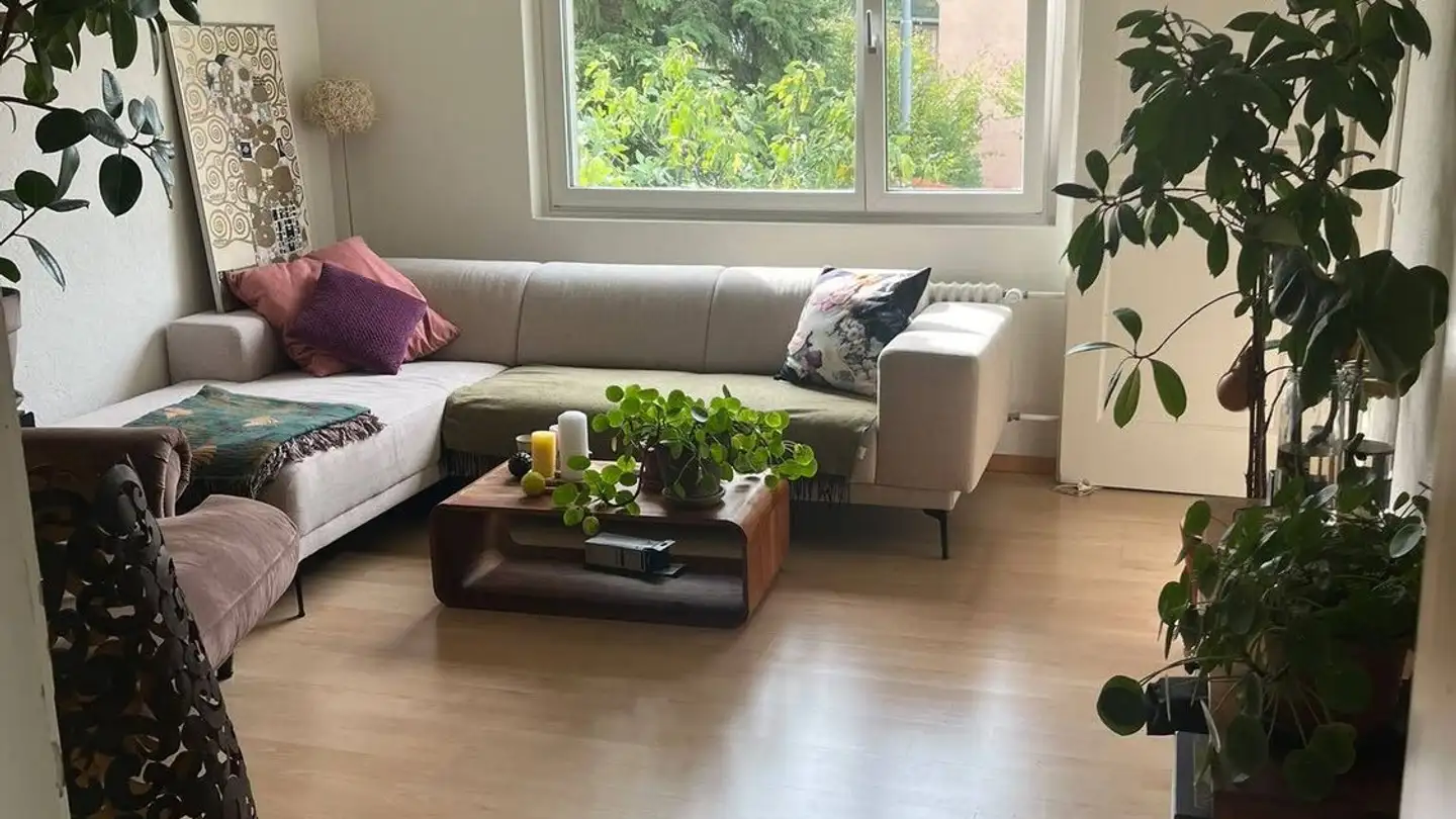 Chambre à louer - Edelweissstrasse 26, 8048 Zürich