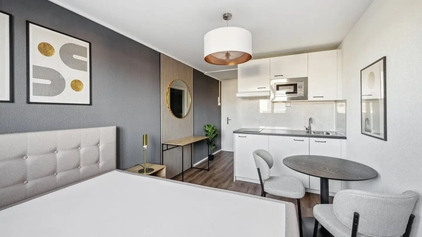 Furnished apartment for rent - Missionsstrasse 56, 4056 Basel