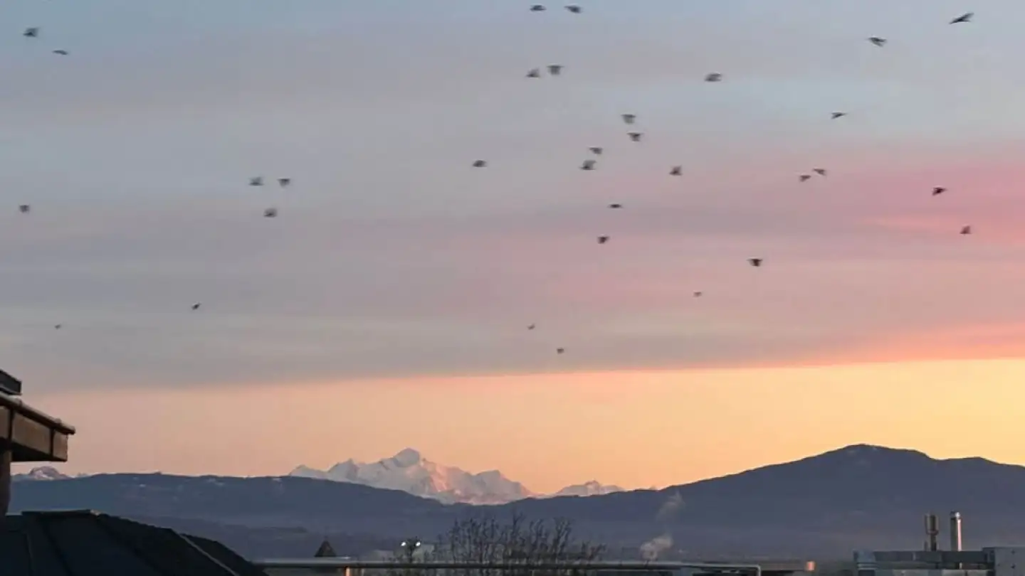 Appartamento in affitto - 1260 Nyon - Foto 4