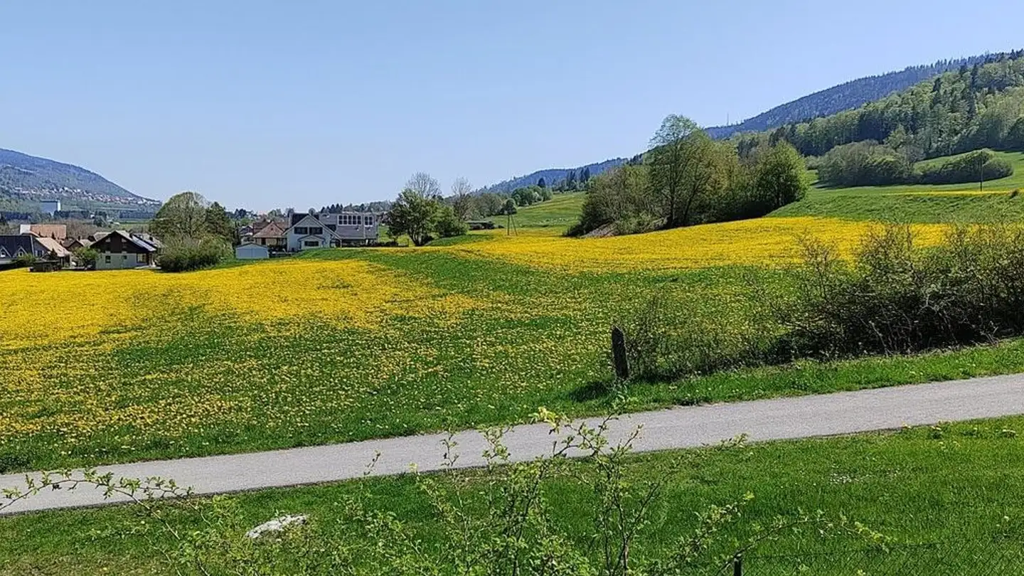 Zimmer mieten - Route Des Revinnoz 8, 1337 Vallorbe