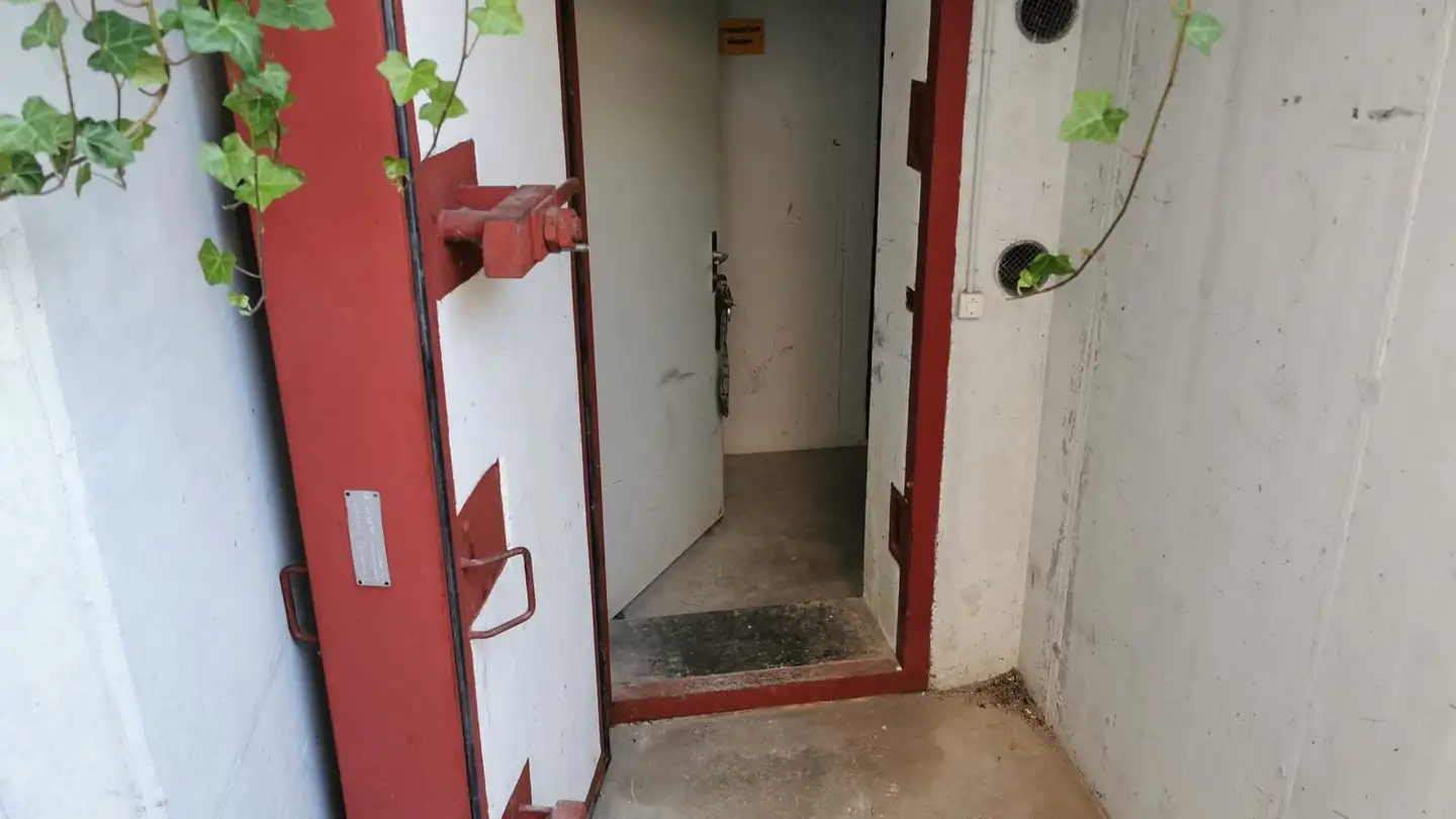 Cellar partition for rent - Hausmatt 2, 6422 Steinen