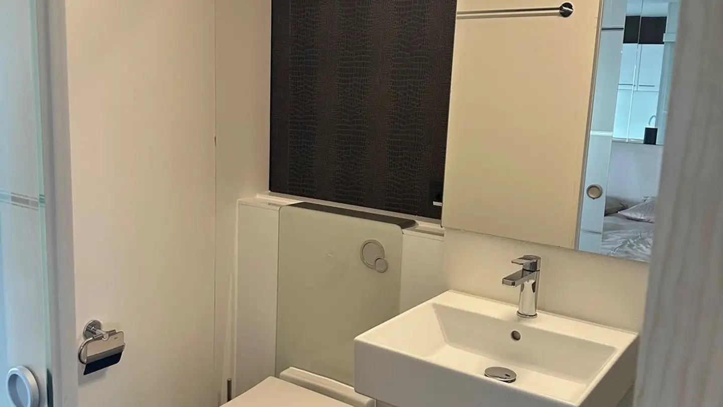 Apartment for rent - 8197 Rafz - Photo 3