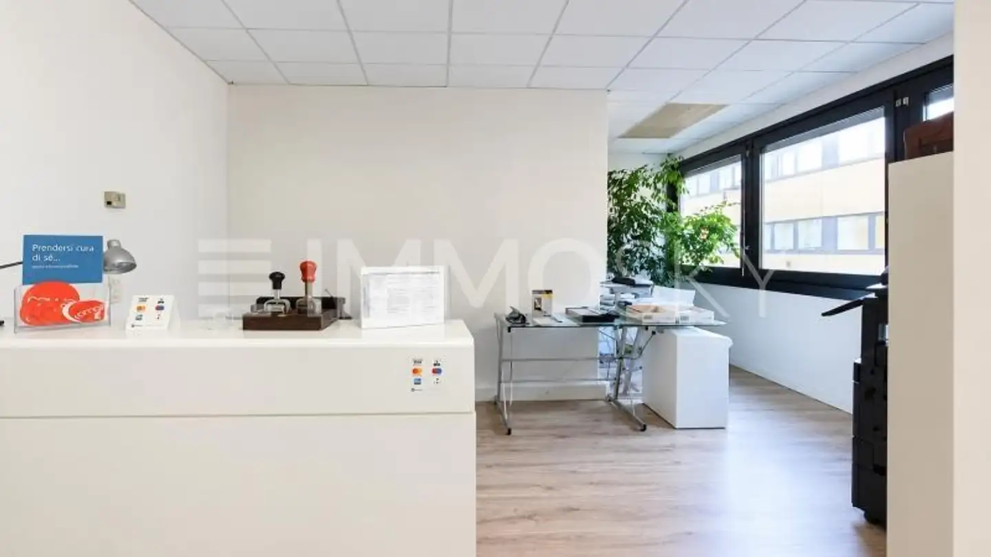 Mischgenutztes Gebäude kaufen - 6814 Cadempino - Foto 2