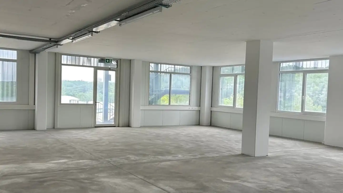 Commerciale in affitto - Rue Du Pré-Salomon 18, 1242 Satigny - Foto 3